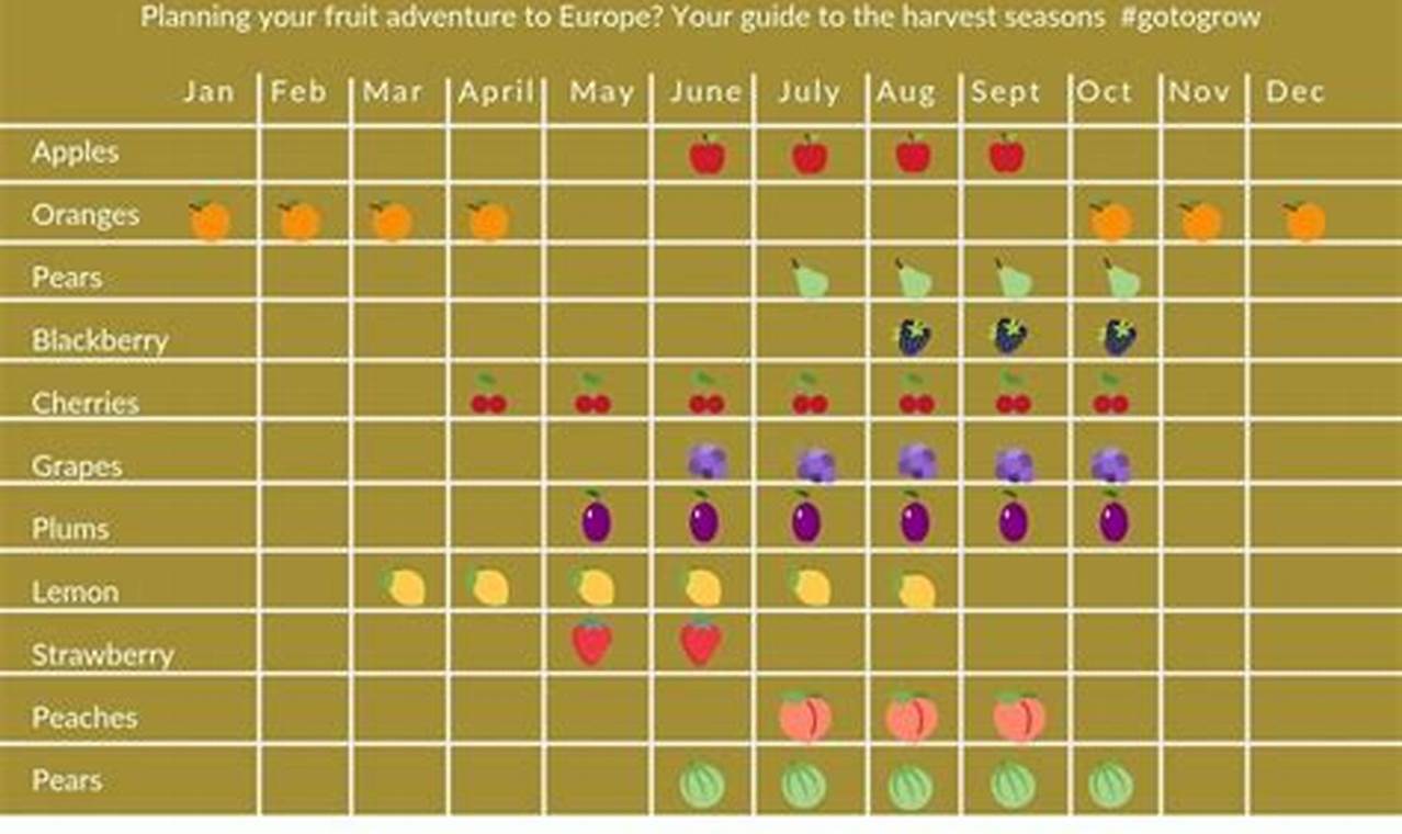 Tree Ripe Fruit Truck Schedule 2024