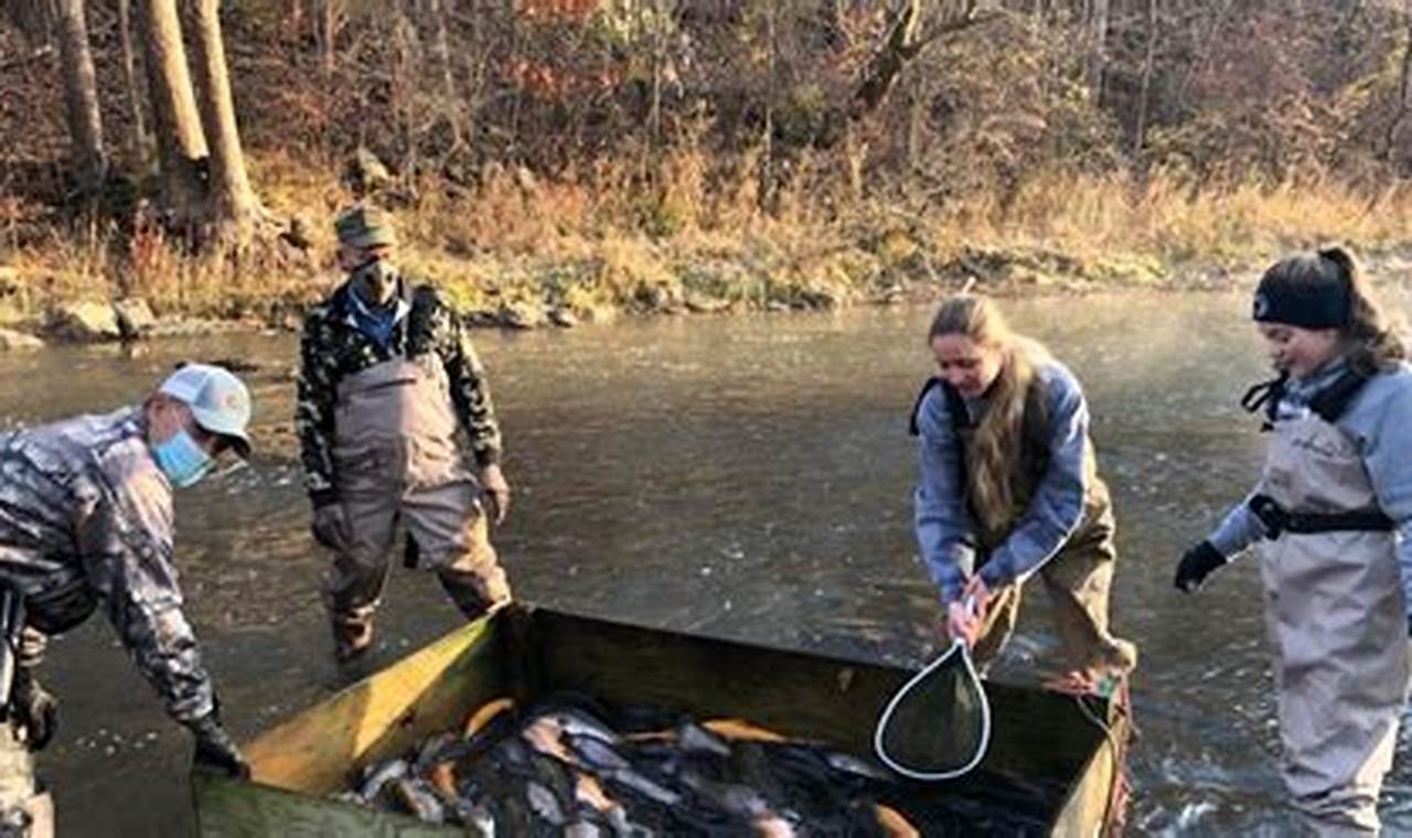 Trout Stocking Pa 2024