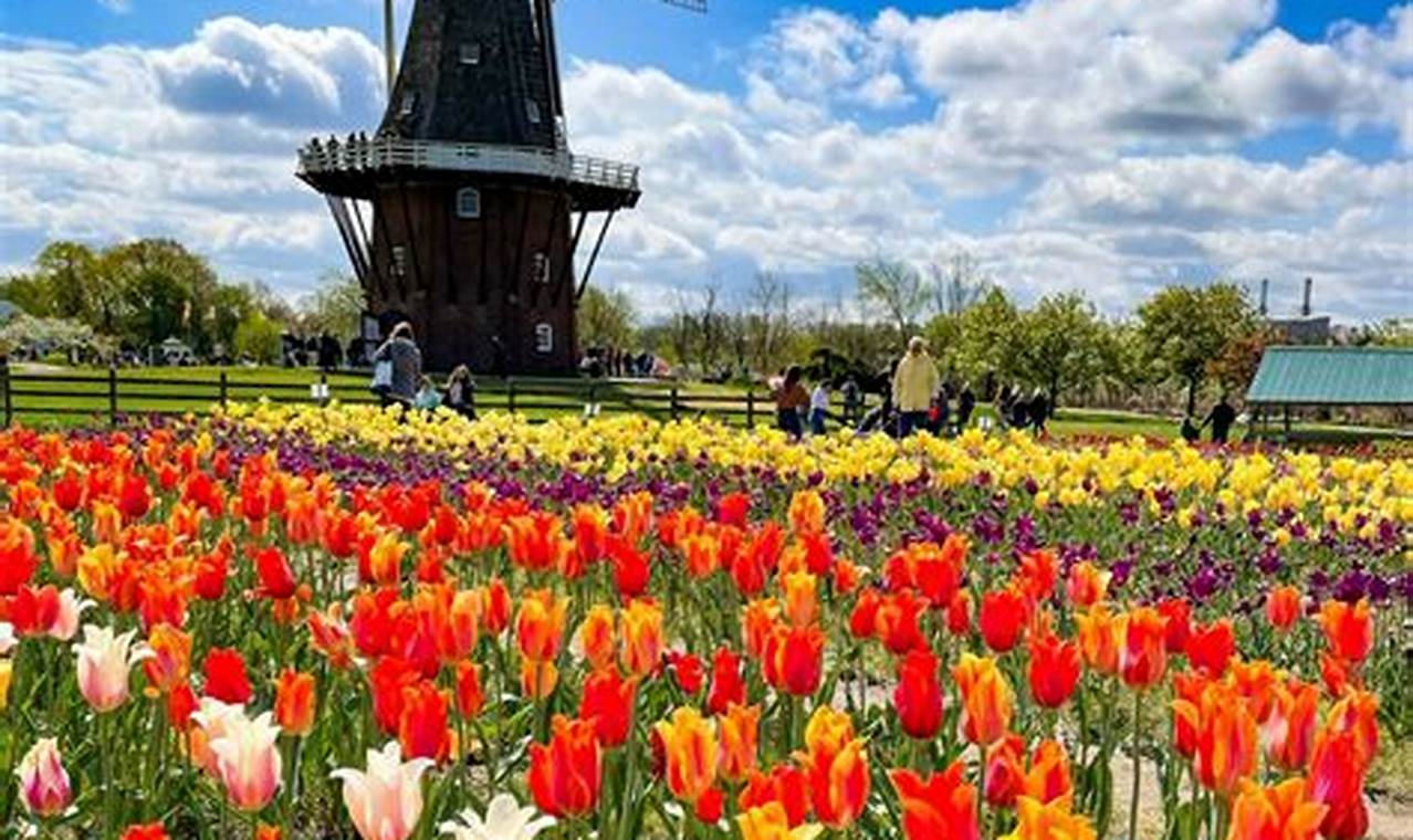 Tulip Festival Holland Mi 2024 Fairground