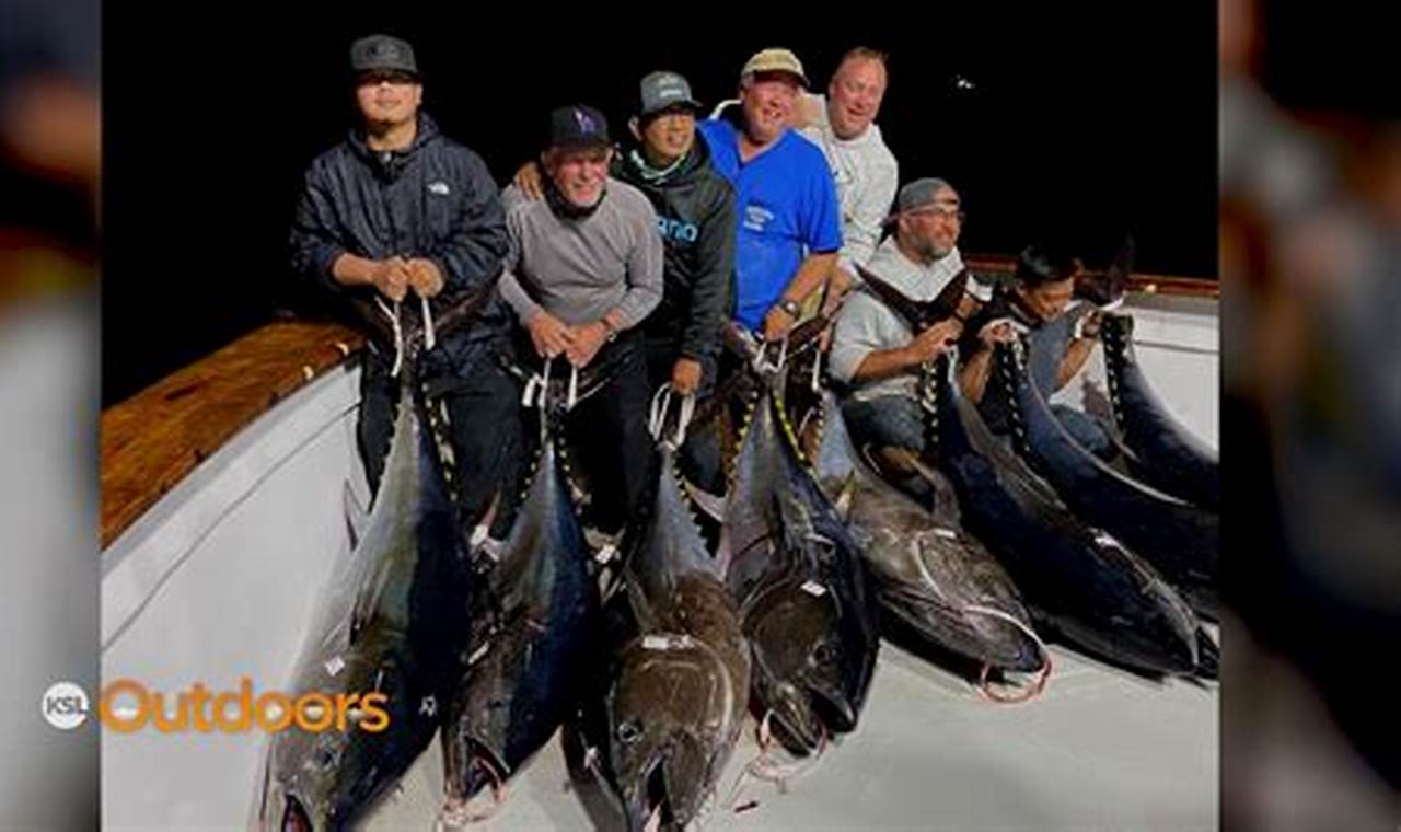 Tuna Fishing San Diego 2024