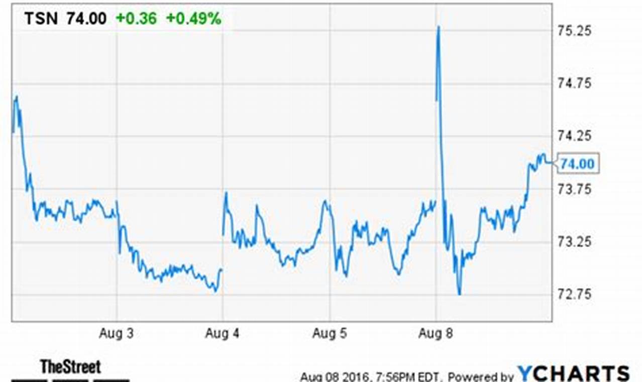 Tyson Foods Profits 2024