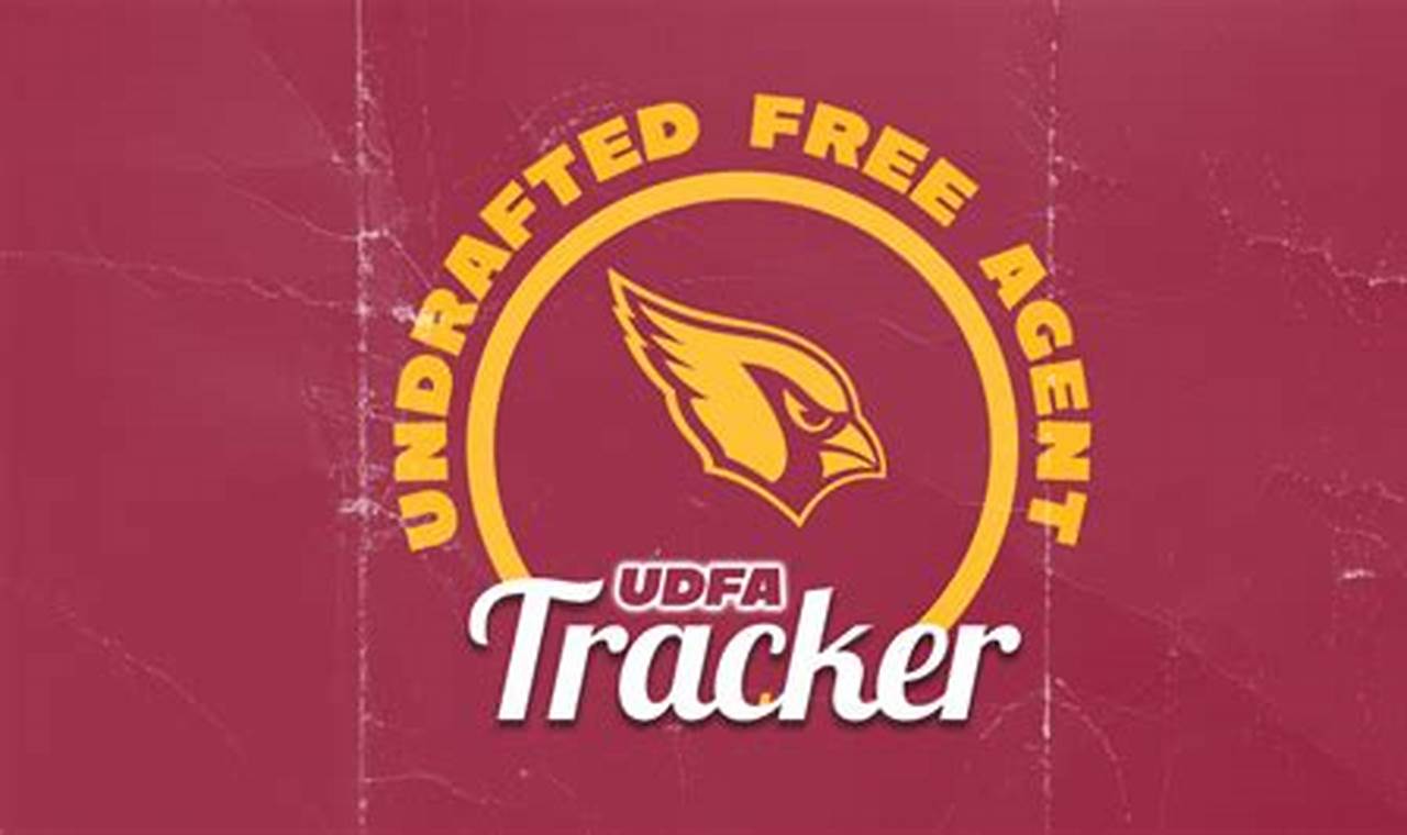 Udfa Tracker 2024 T20