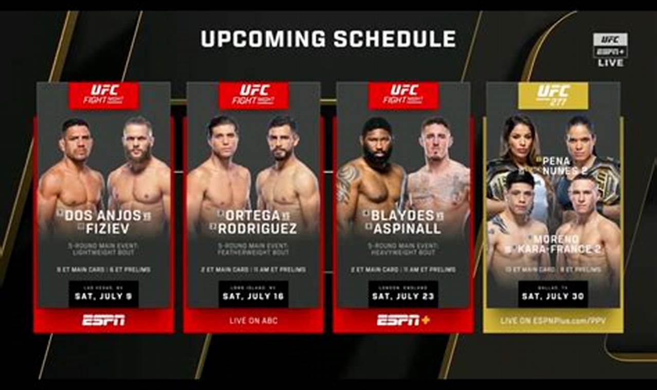 Ufc Fights April 2024