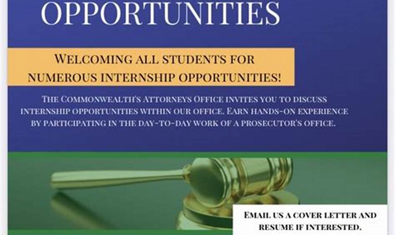 Undergraduate Law Internships Fall 2024