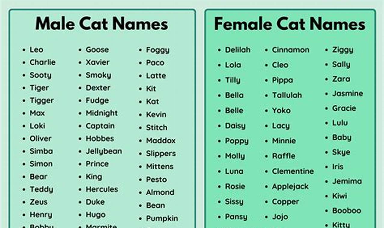 Unique Cat Names 2024