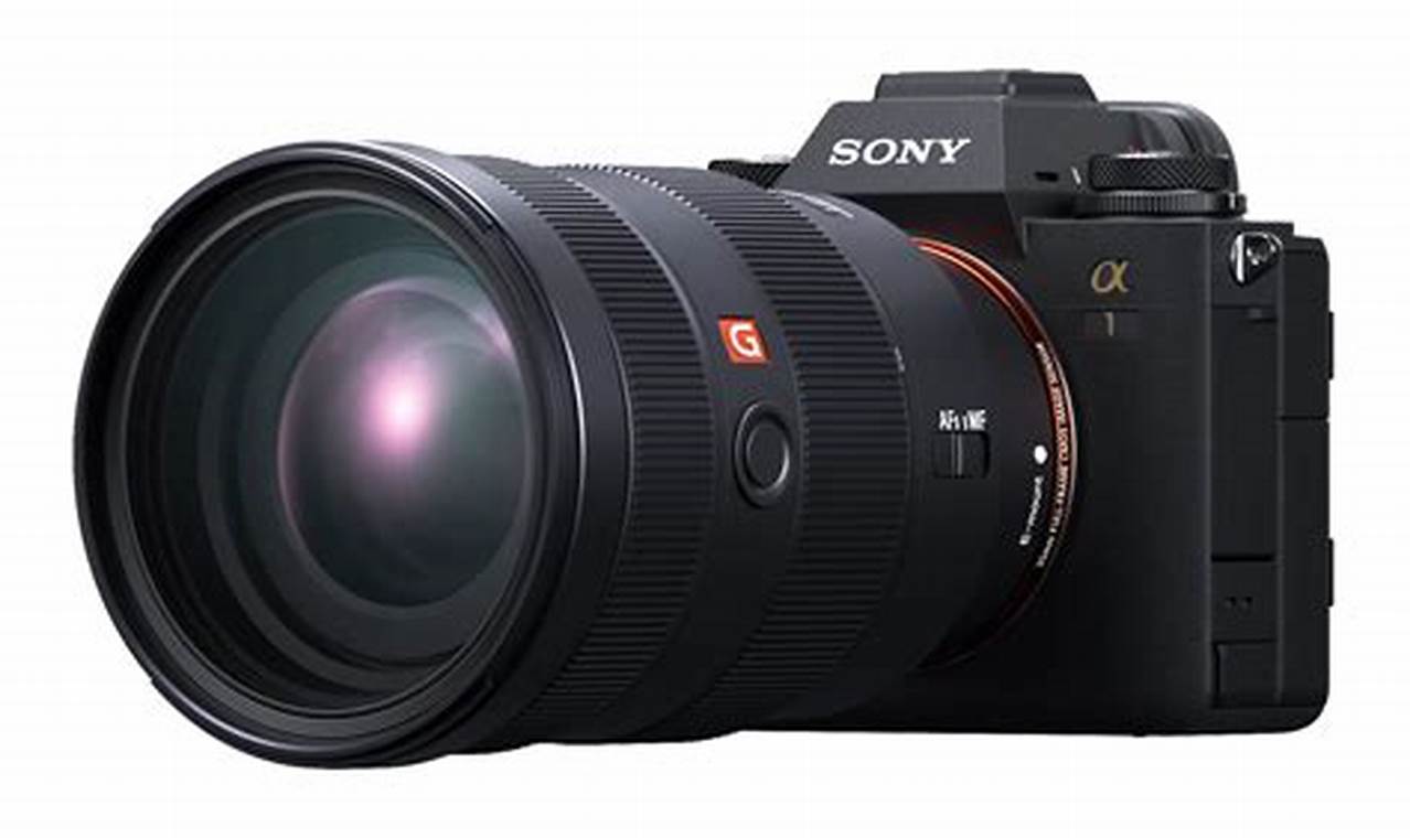 Upcoming Sony Cameras 2024