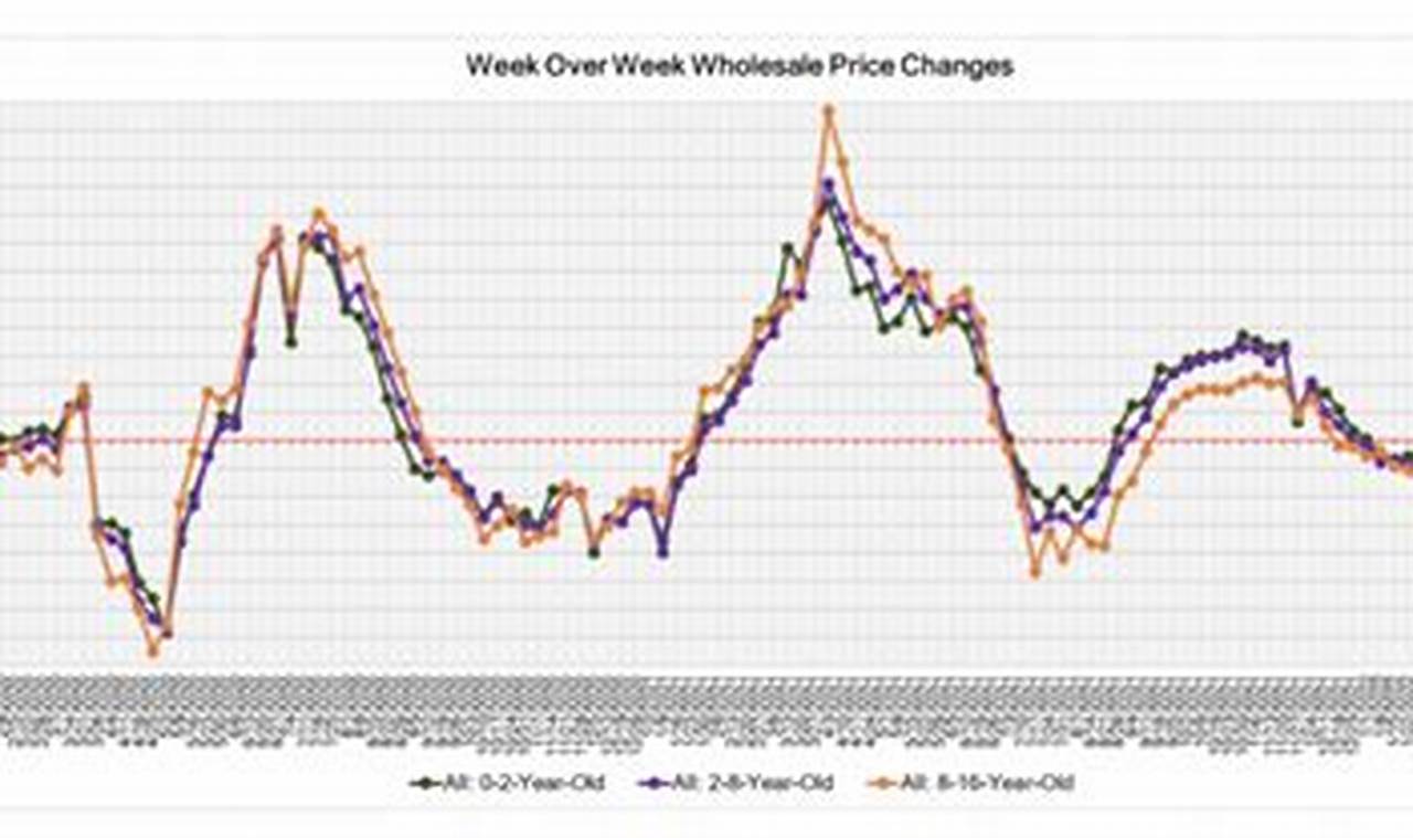 Used Car Prices Chart 2024