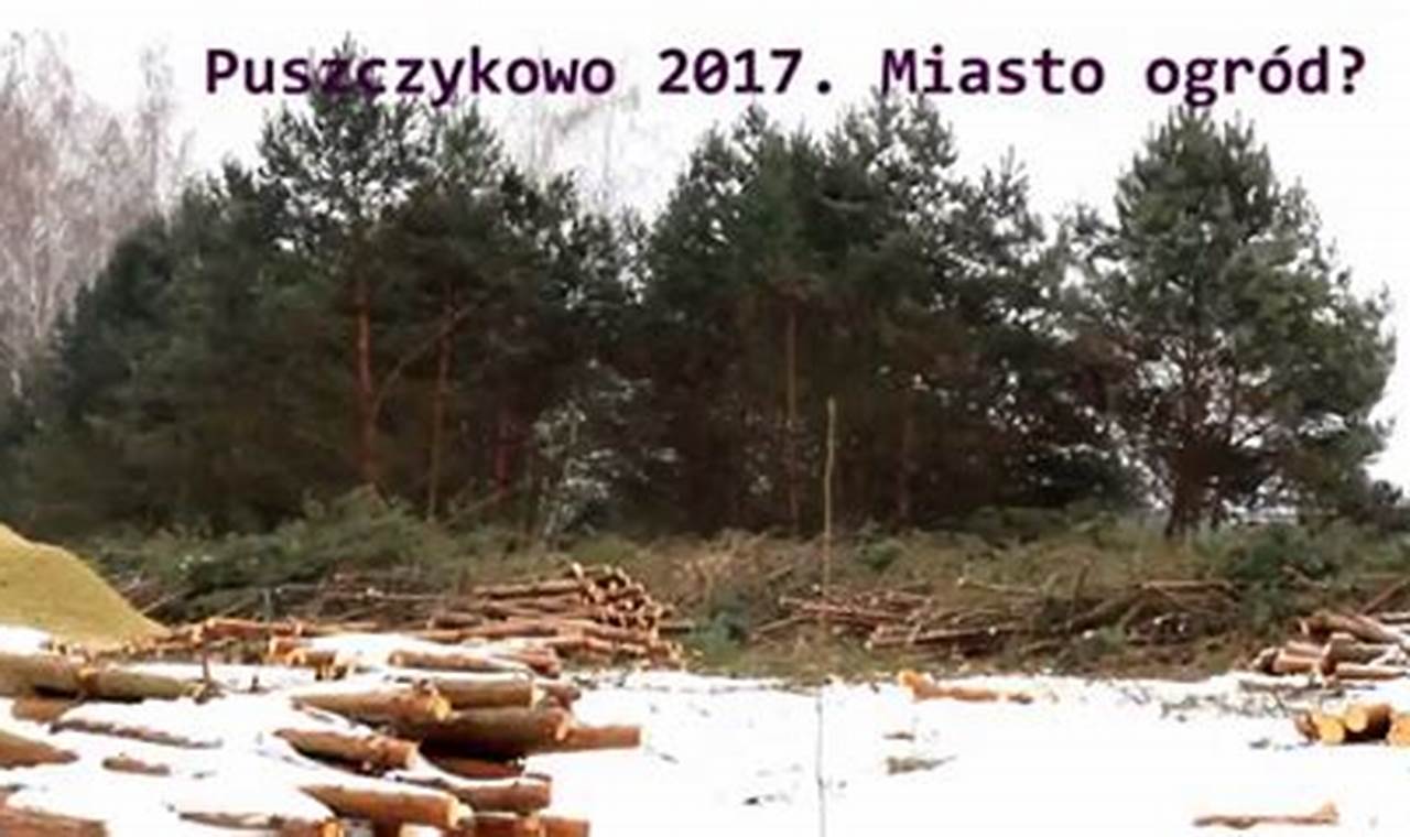 Ustawa O Wycince Drzew I Krzewów 2017 Dokument