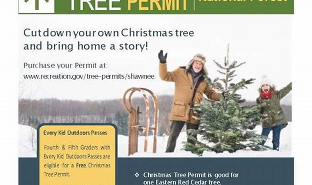 Utah Christmas Tree Permit 2024