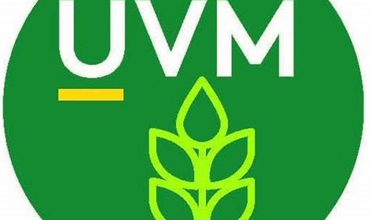 Uvm Summer Courses 2024