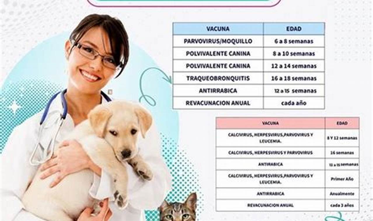 Vacunas Para Perros Gratis 2024 Chicago Illinois