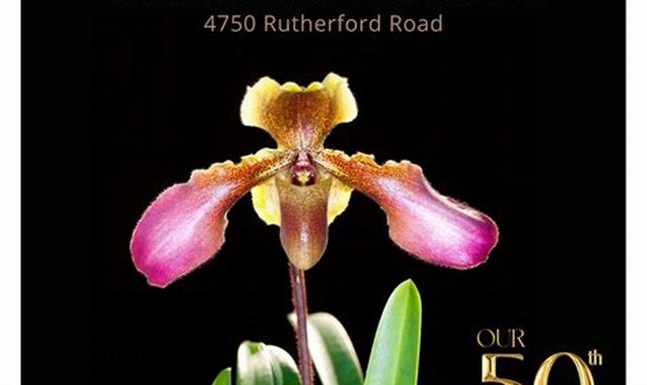 Vancouver Orchid Show 2024