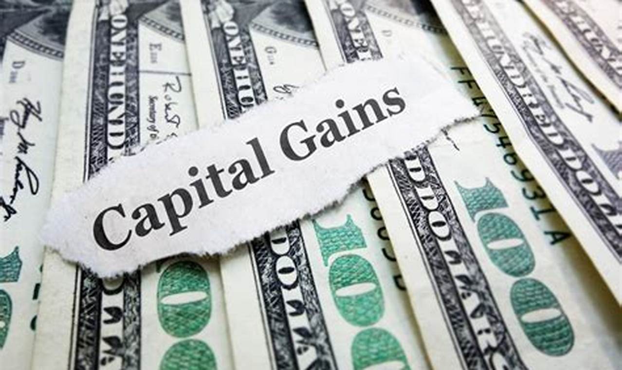 Vanguard Estimated Capital Gains 2024