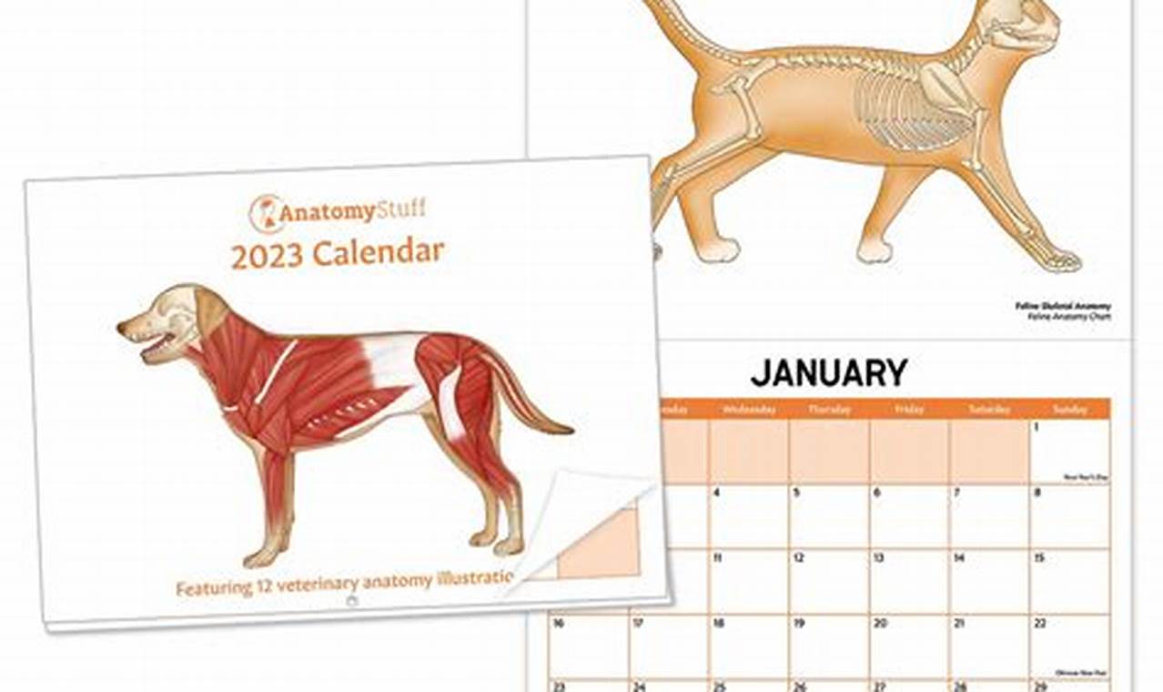 Veterinary Ce Calendar 2024 Calendar 2024