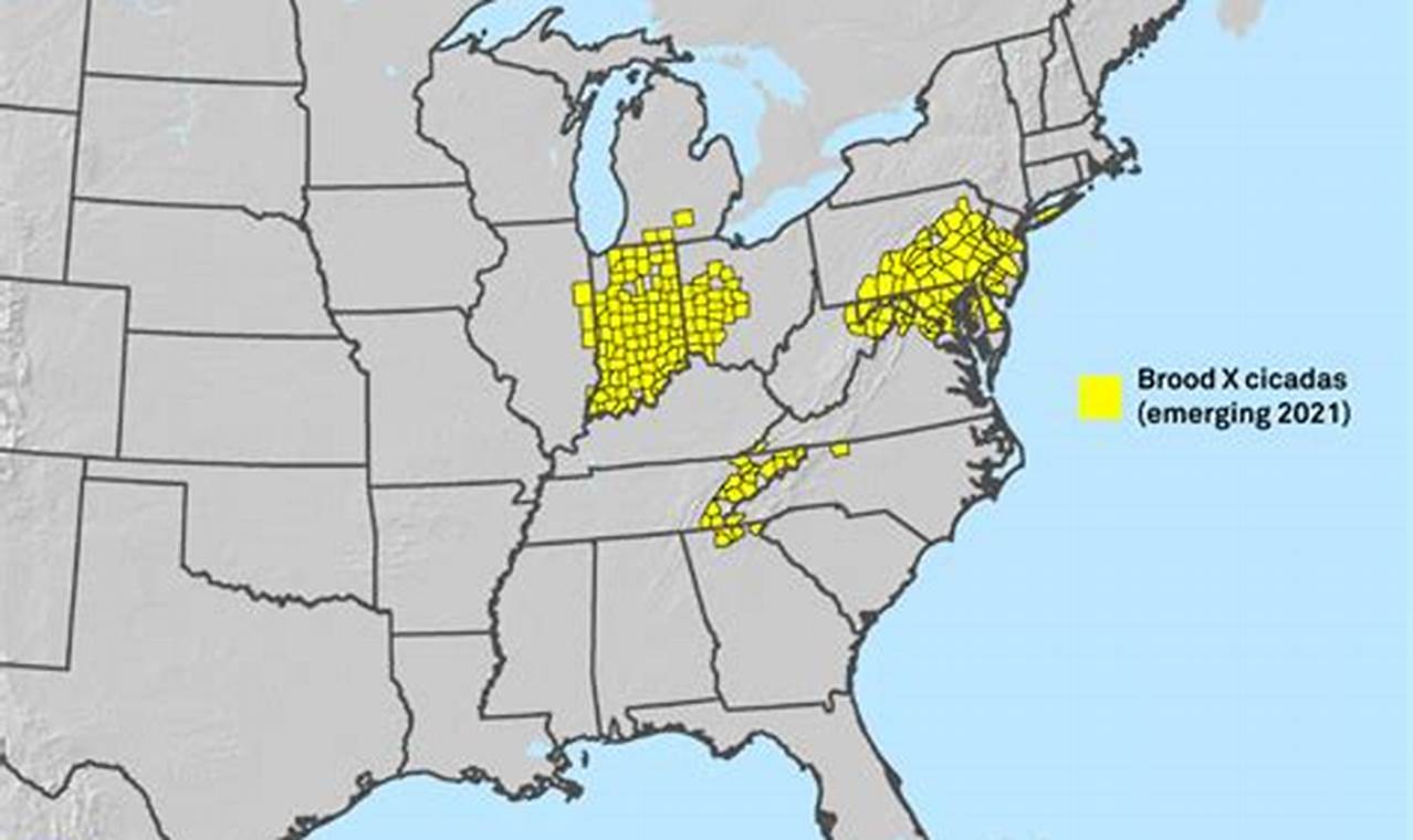 Virginia Cicada Map 2024