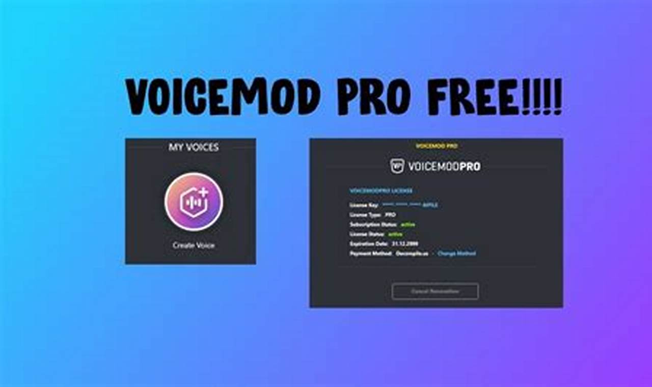 Voicemod Pro Free License Key 2024