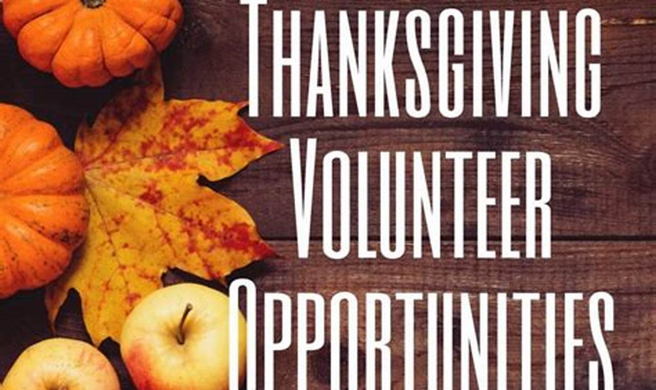 Volunteer Thanksgiving 2024