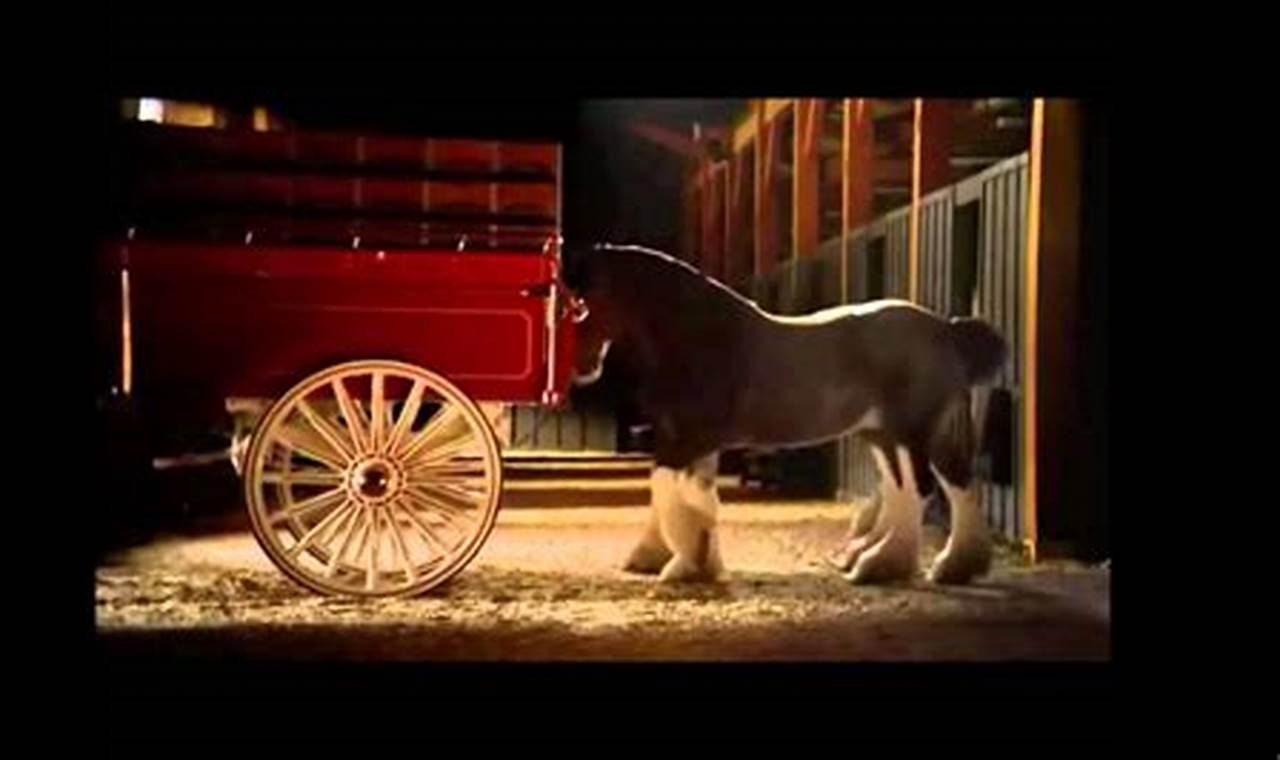 Was There A Budweiser Clydesdale Commercial 2024