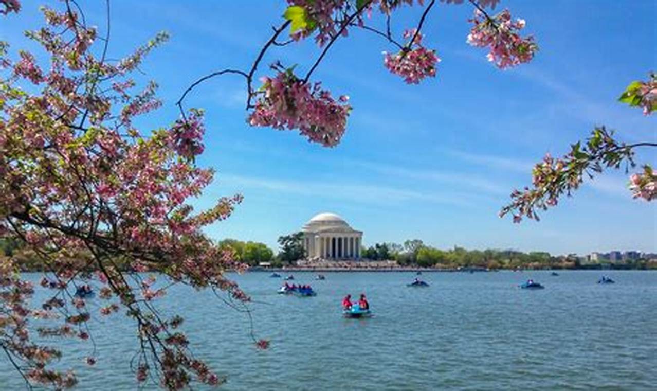 Washington Dc Cherry Blossom Festival 2024