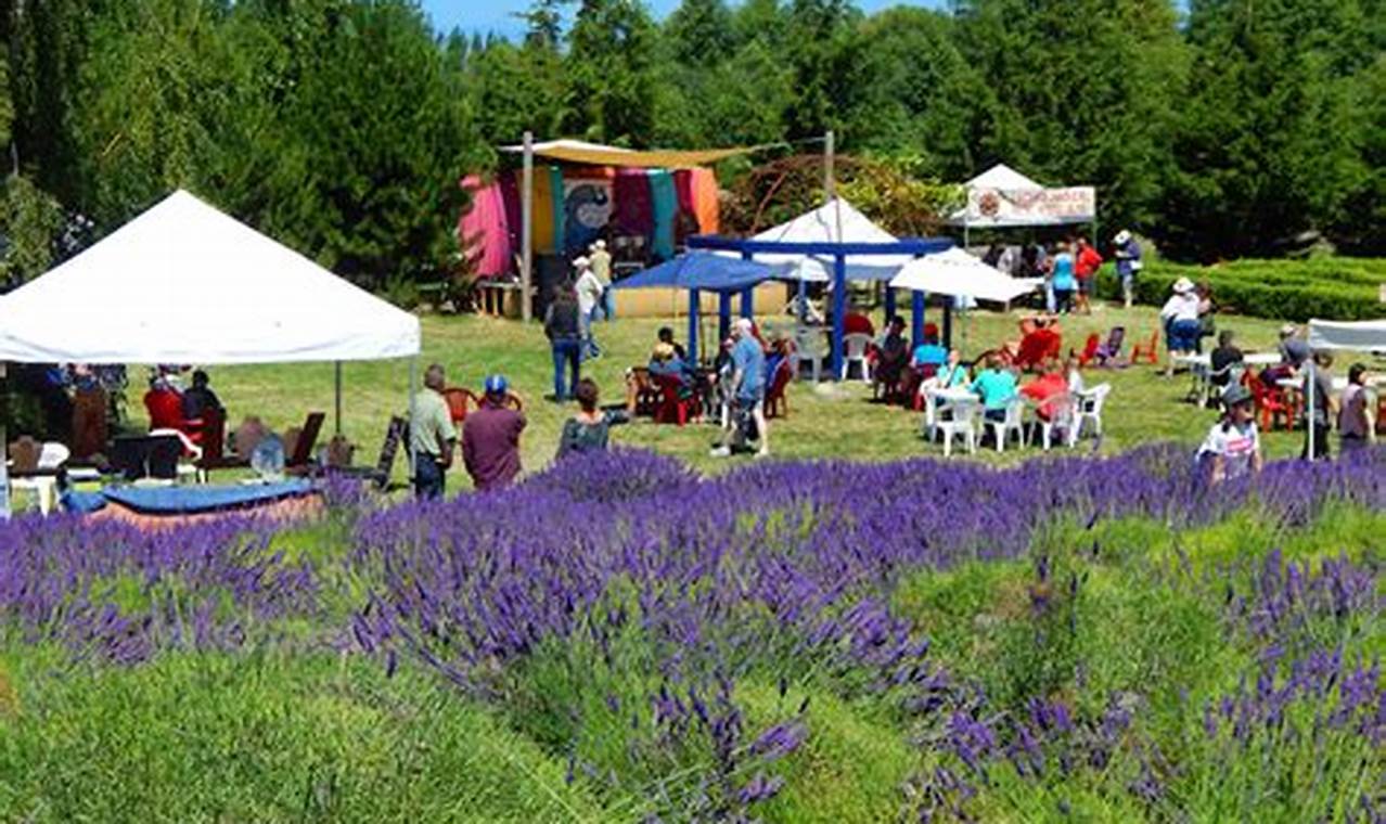 Washington Island Lavender Festival 2024 Dates