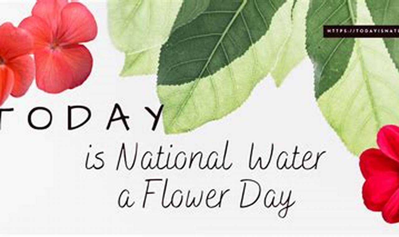 Water A Flower Day 2024