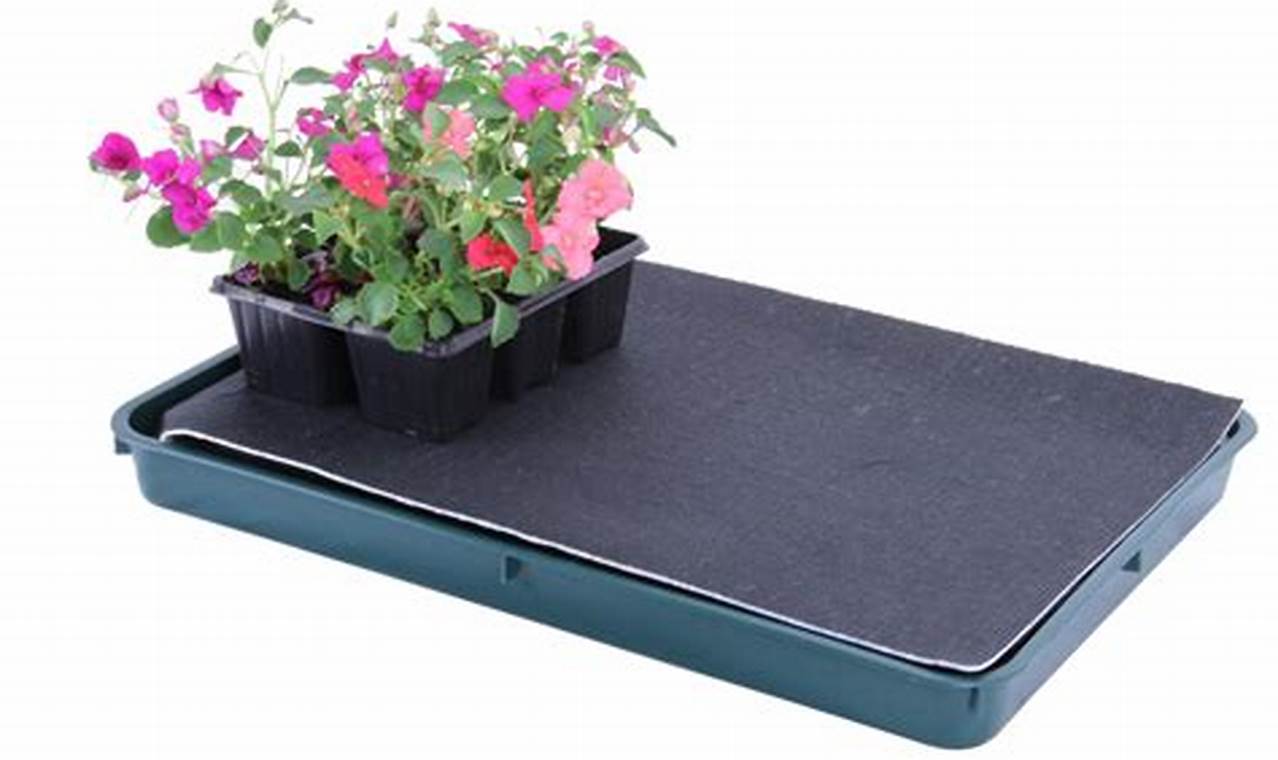 Water Tray For Plants