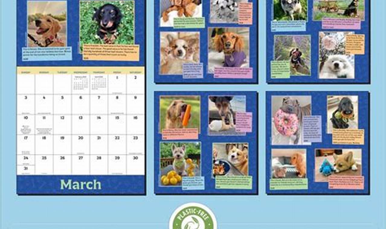 We Rate Dogs Calendar 2024