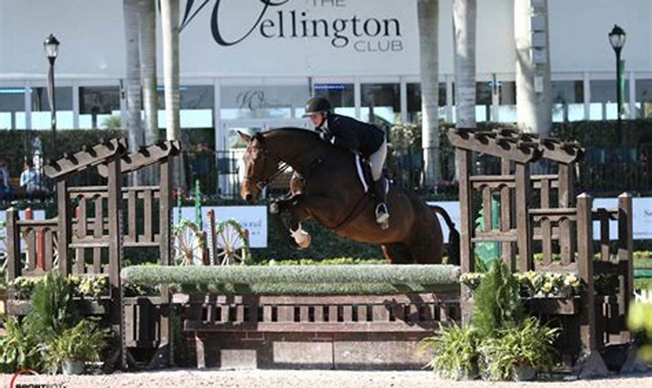 Wellington Equestrian Festival 2024