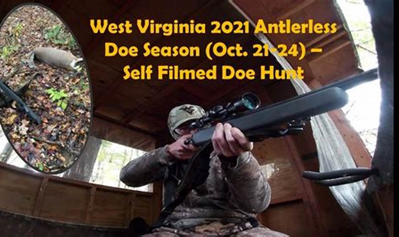 West Virginia Doe Season 2024