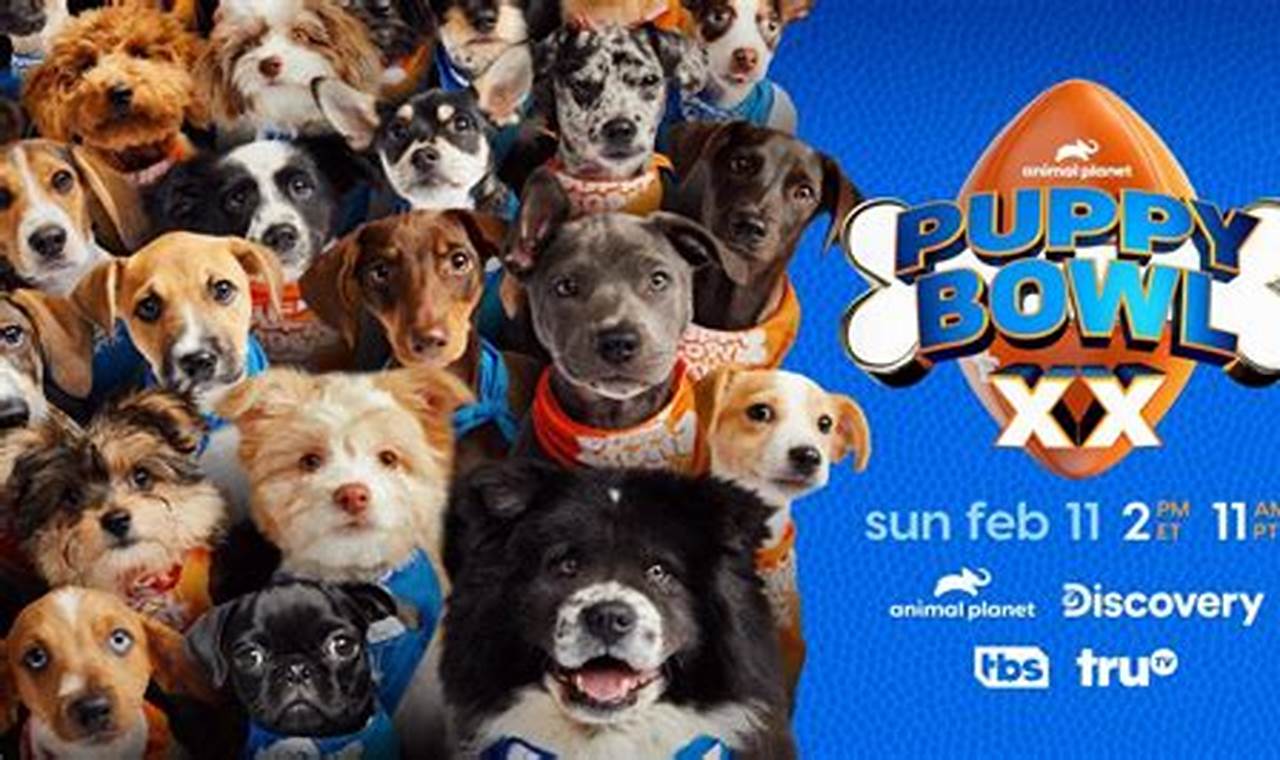 What Day Is The Puppy Bowl 2024 Calendar