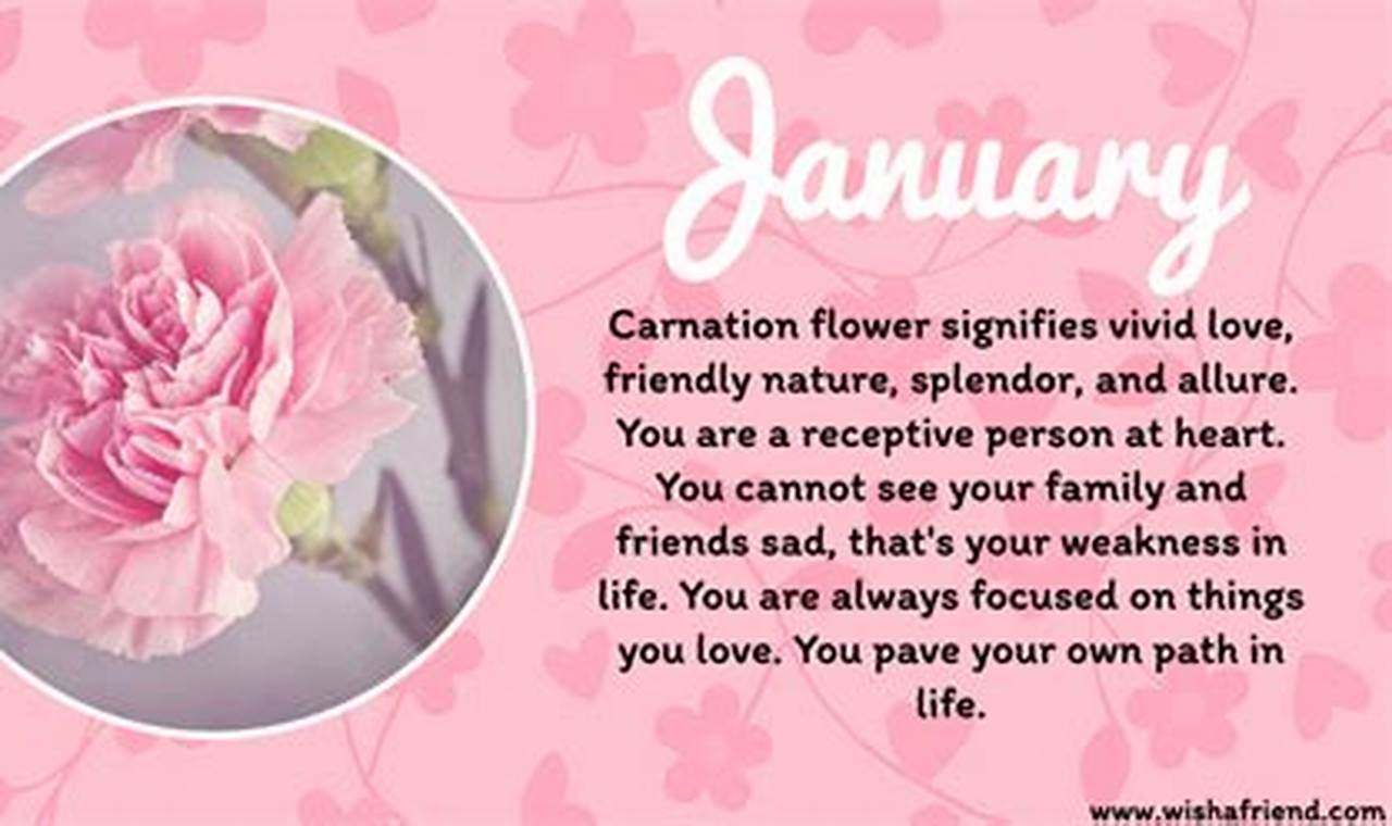 What Flower Represents January 2024
