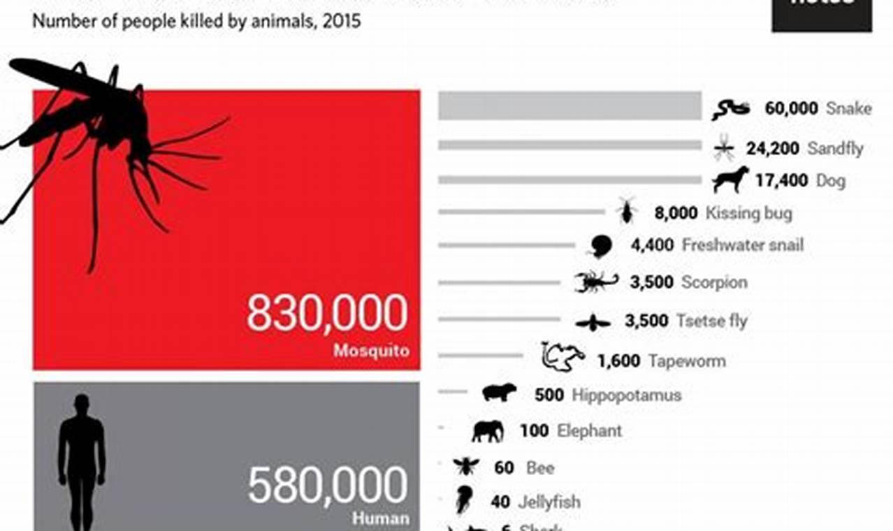 What Is The Deadliest Animal In The World 2024