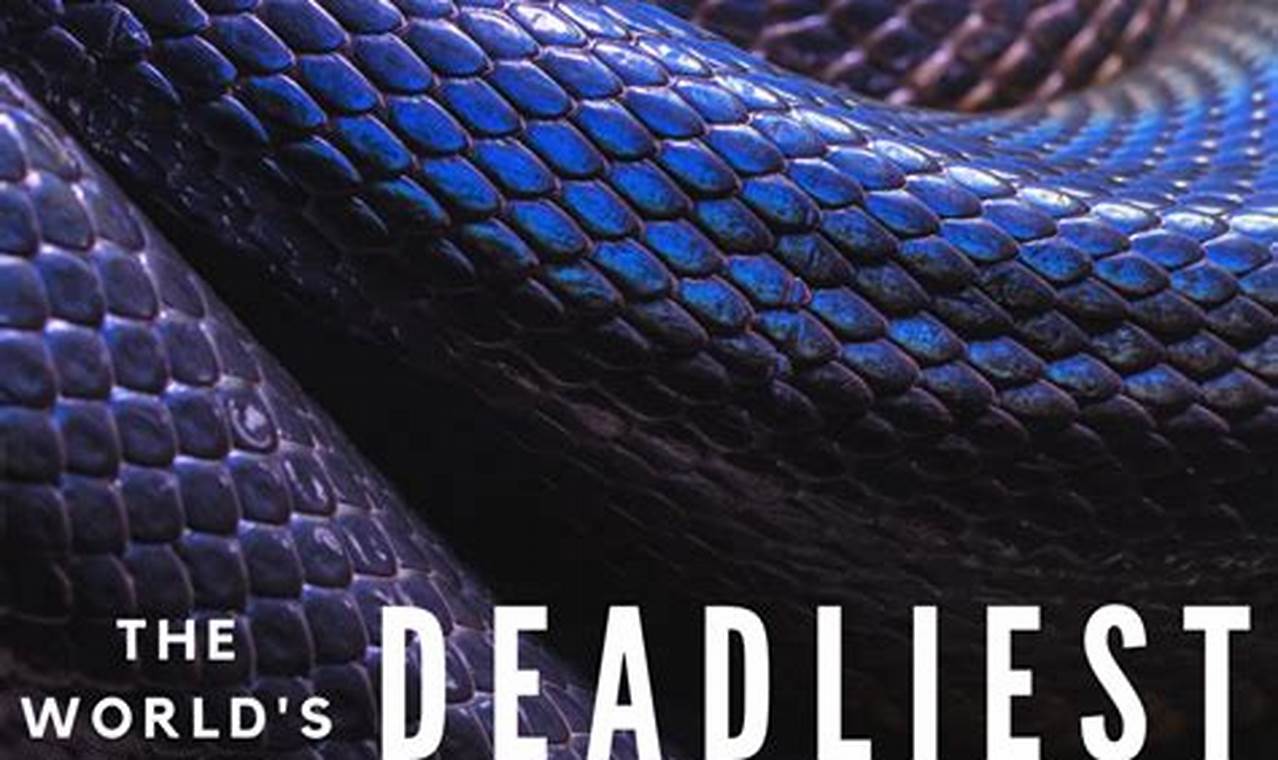 What Is The Deadliest Snake In The World 2024