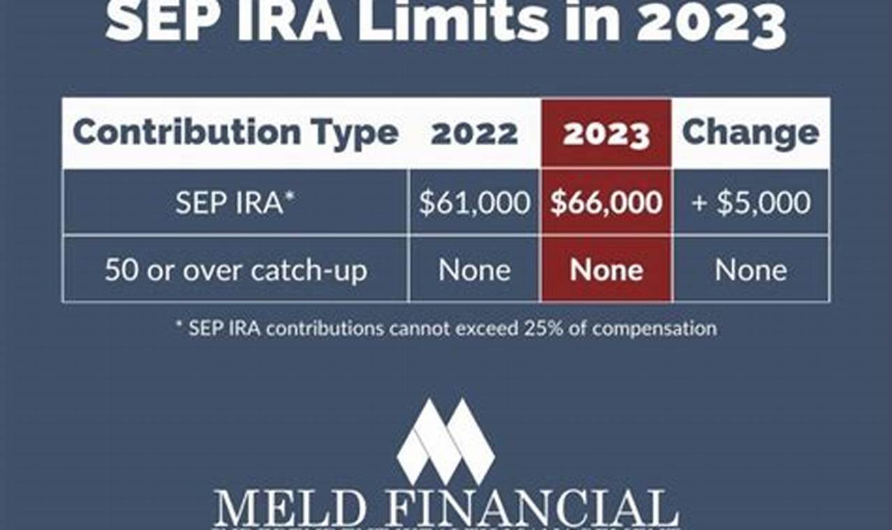What Is The Max Sep Ira Contribution For 2024