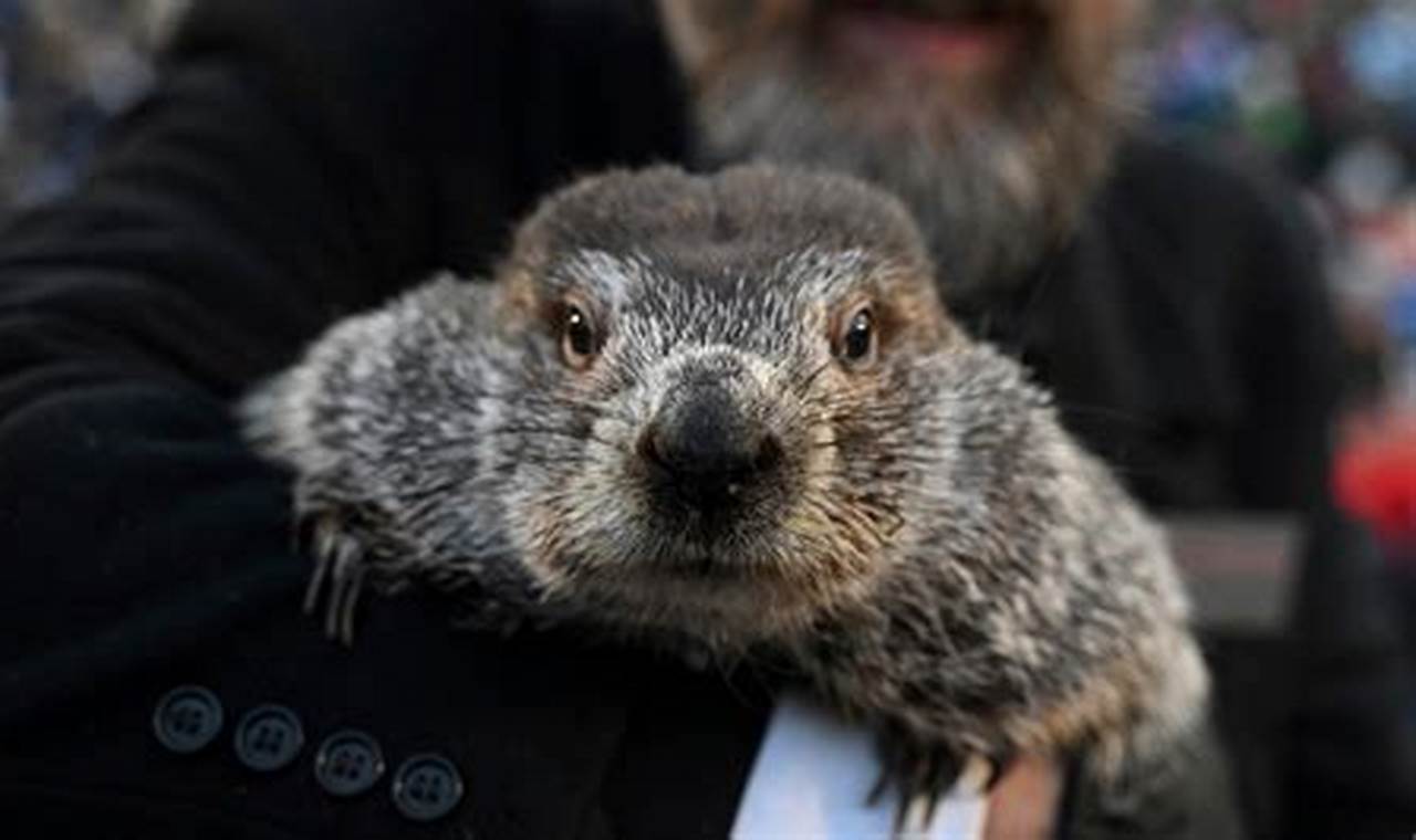 What Is The Prediction For Groundhog Day 2024