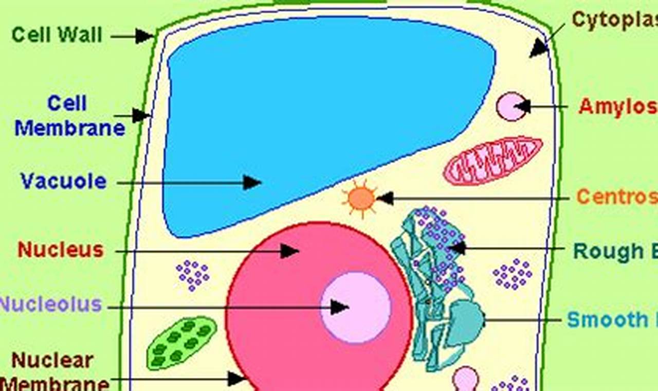 What Makes Plant Cells Green