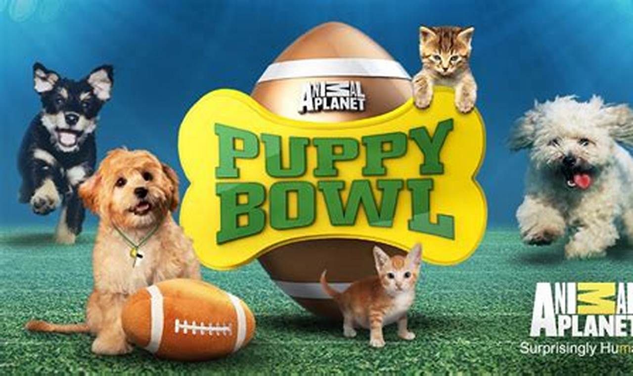 What Time Is The Kitten Bowl 2024