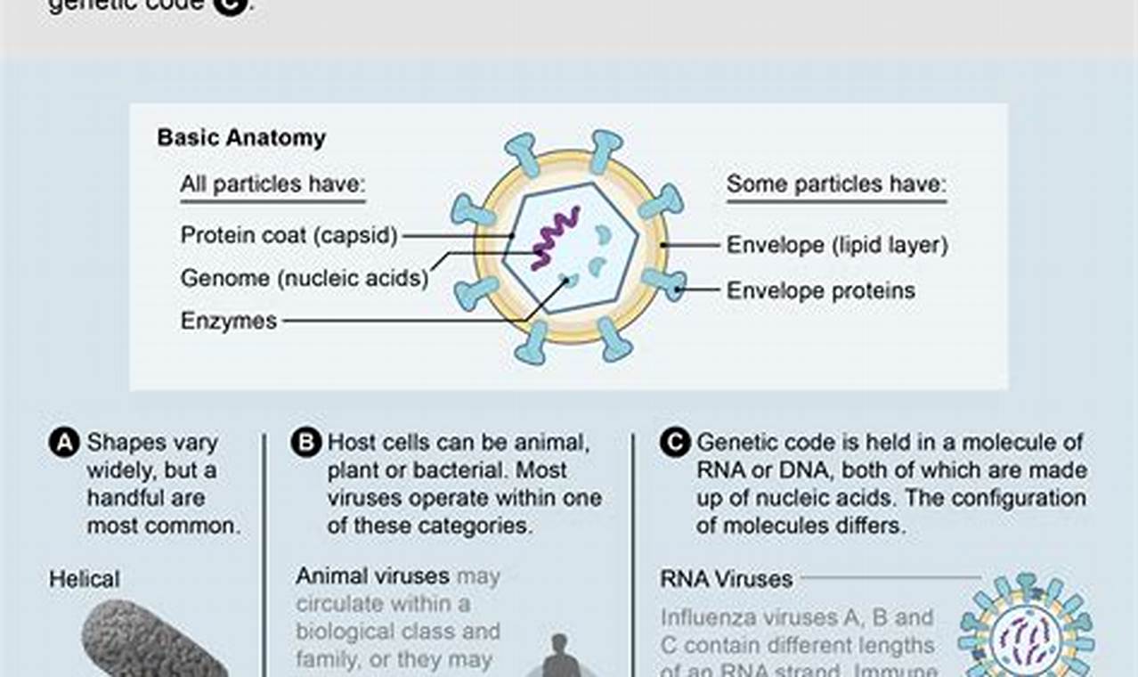 What Viruses Are Going Around Right Now In Adults 2024