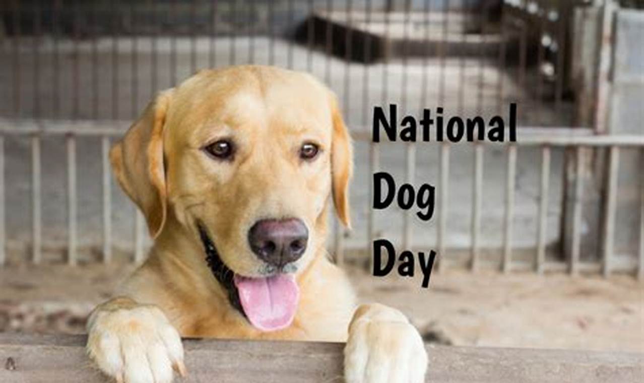 When Is National Dog Day 2024