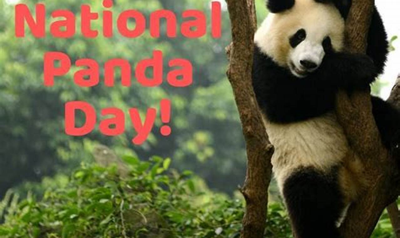 When Is National Panda Day 2024