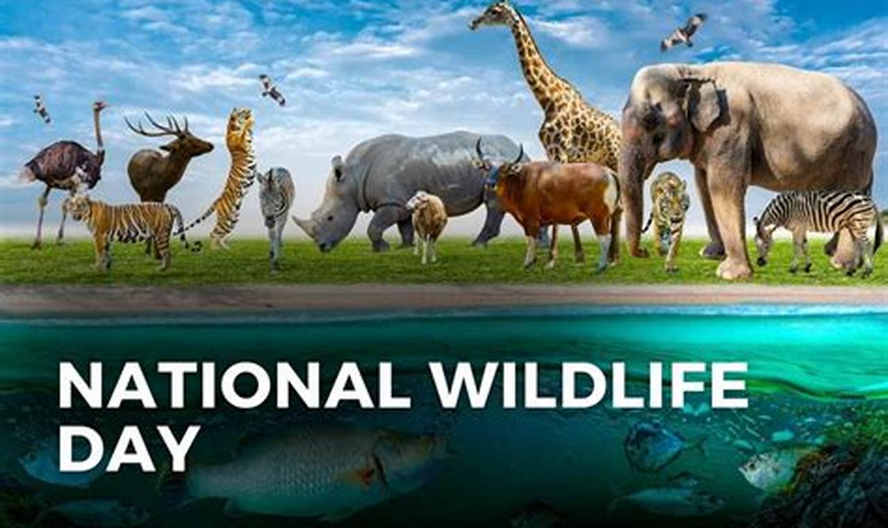 When Is National Wildlife Day 2024