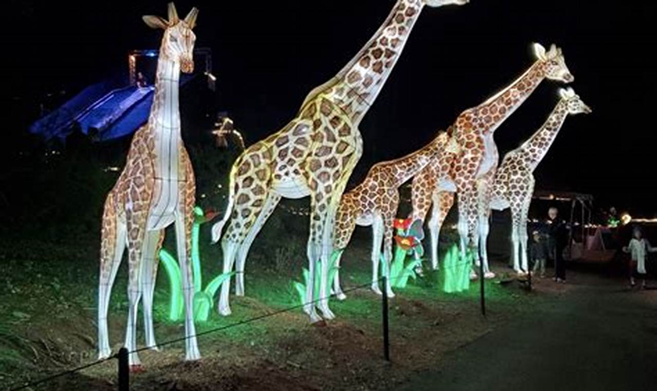 When Is Zoo Lights 2024