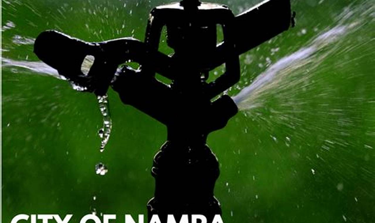 When Will Irrigation Water Be Turned On In Nampa 2024