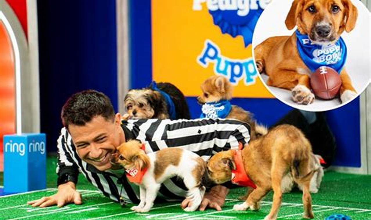Where Can I Watch The Puppy Bowl 2024