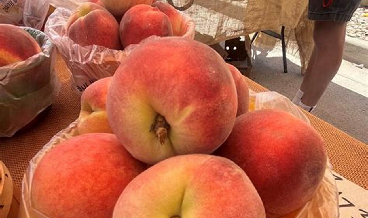 Where To Buy Colorado Peaches 2024