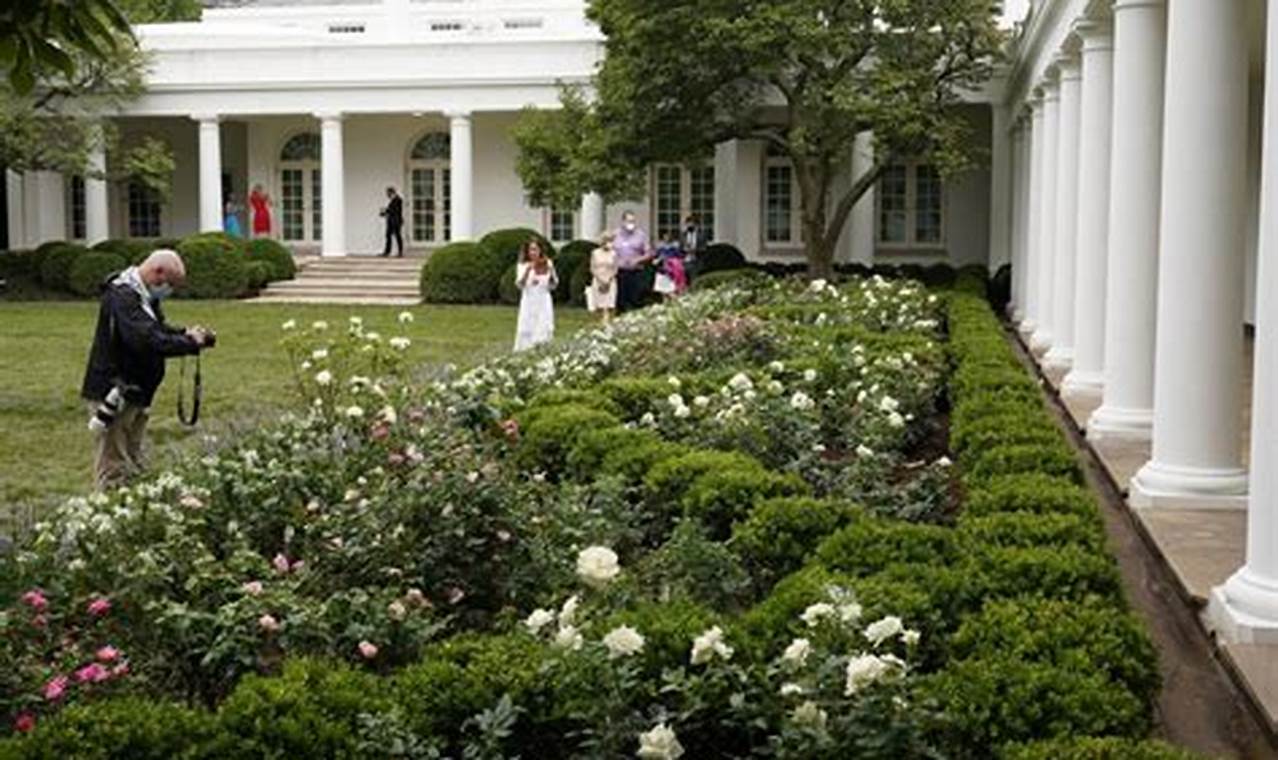 White House Rose Garden 2024