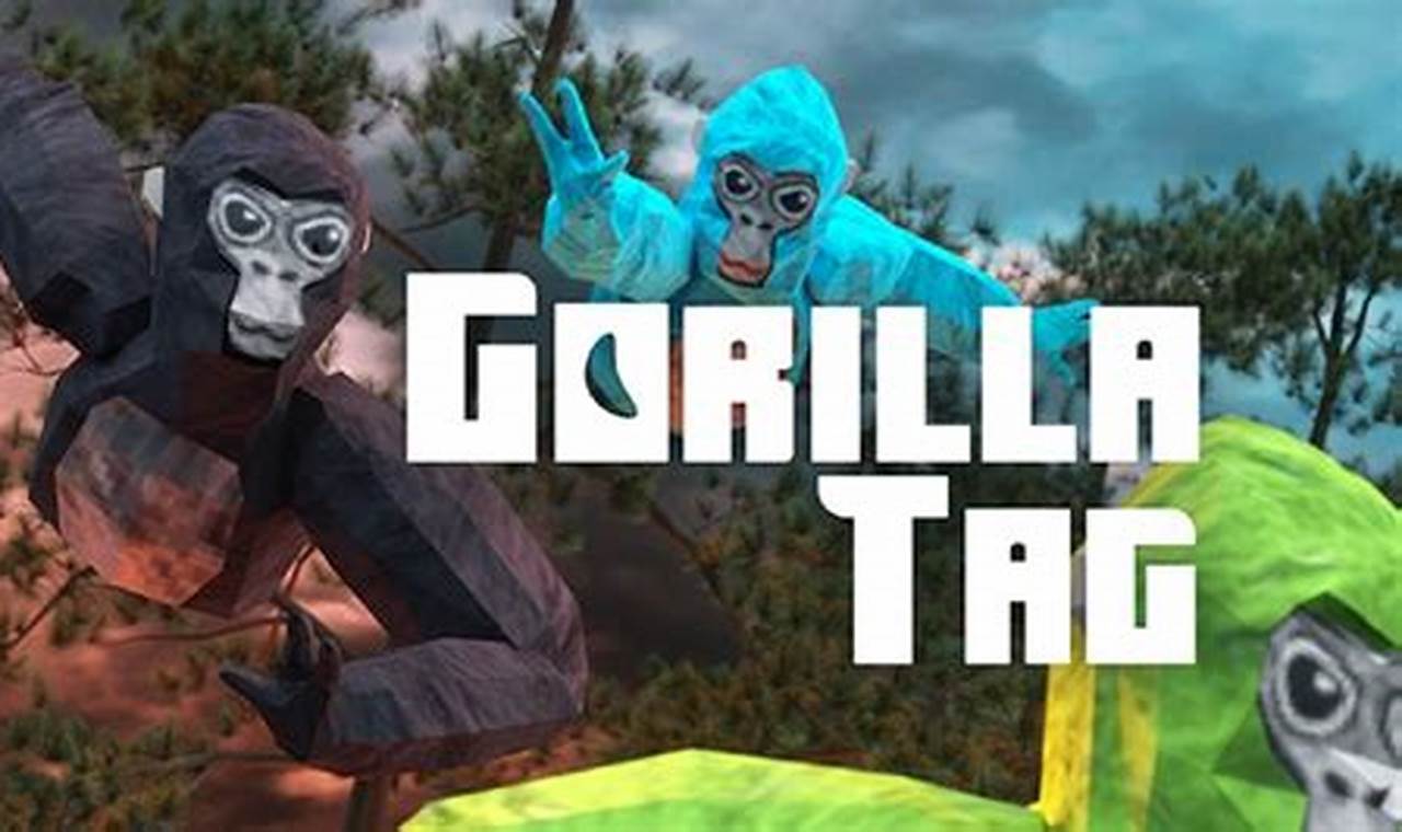 Who Is The Best Gorilla Tag Player 2024
