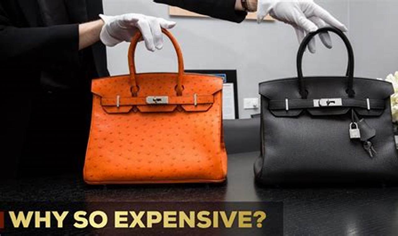 Why Birkin Bags Are Expensive