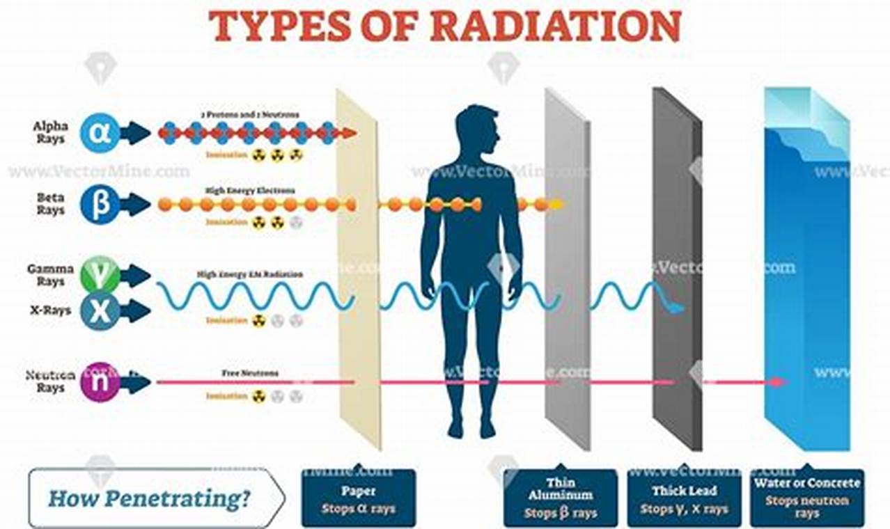 Why Is Alpha Radiation Harmful To Humans