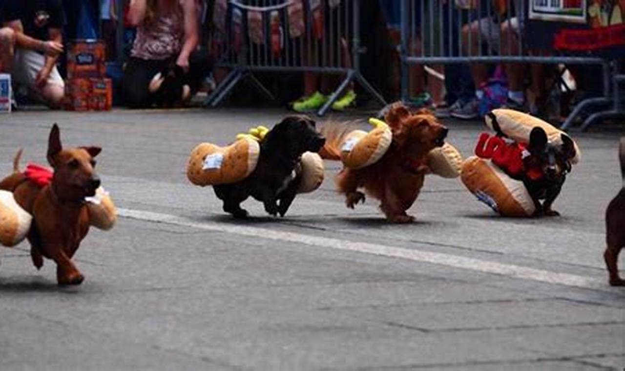 Wiener Dog Festival 2024